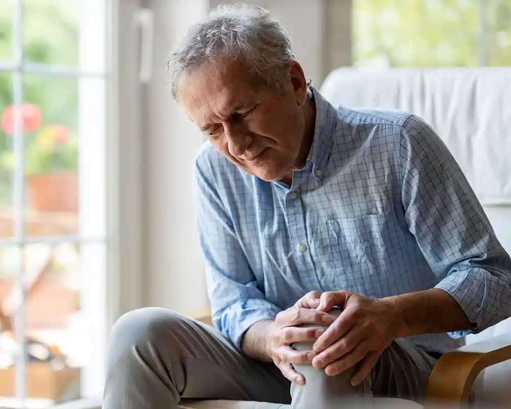 Knee Joint Graphic depicting knee joint in regenerative medicine.